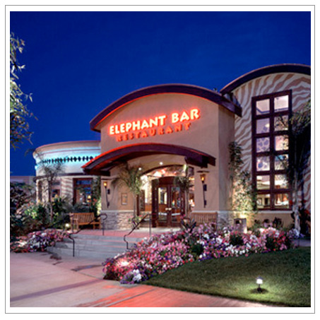 Elephant Bar